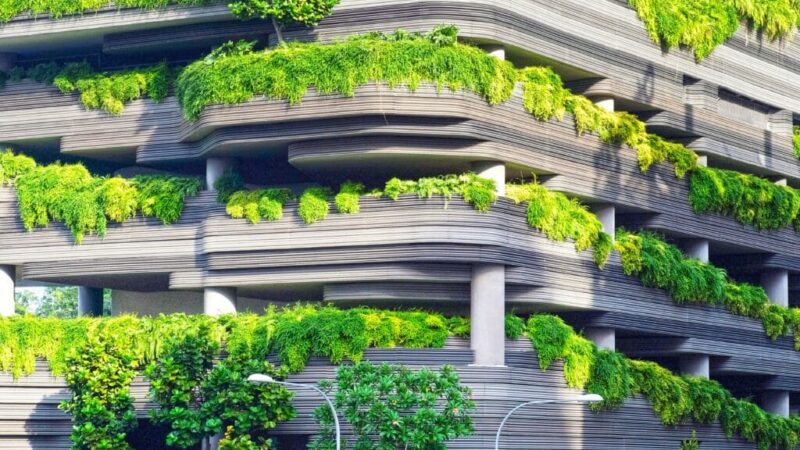 Architectural Innovation and Low-Density Design Trends in Singapore